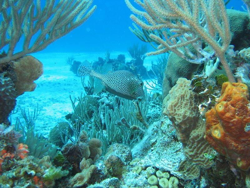 El Pisito La Dolce Vita Puerto del Carmen  Zewnętrze zdjęcie
