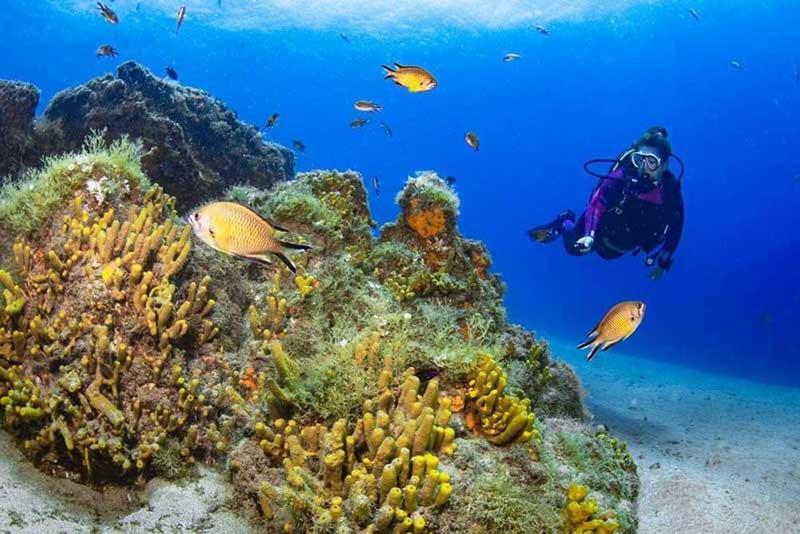 El Pisito La Dolce Vita Puerto del Carmen  Zewnętrze zdjęcie